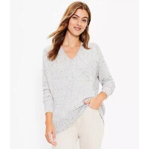 Ann Taylor LOFT Size Large Textured Specked V-Neck Pullover Sweater